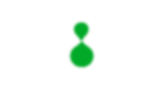 FBP2021